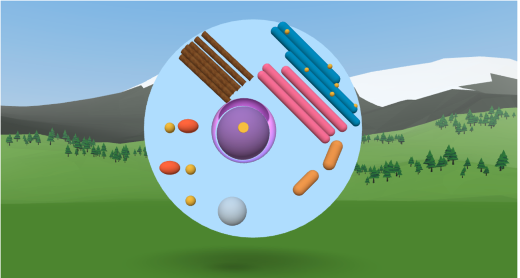 Animation of a virtual cell